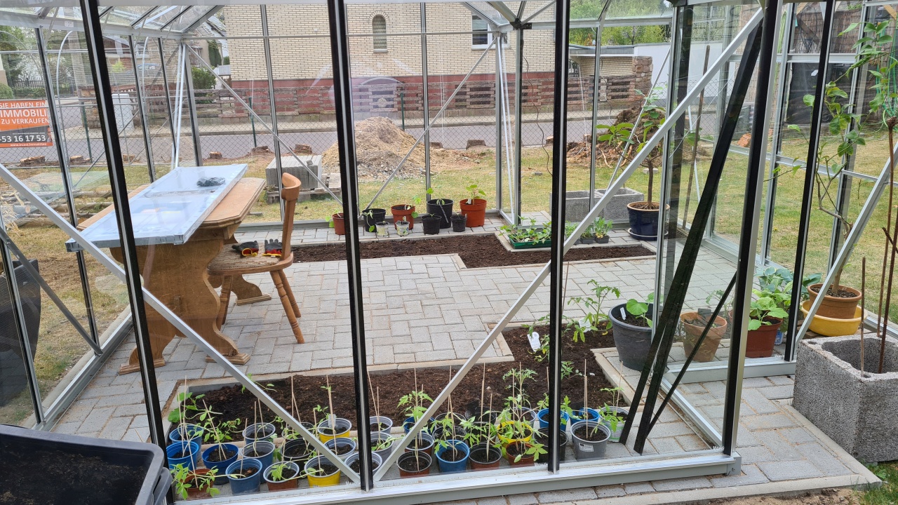 Gew&auml;chshaus steht